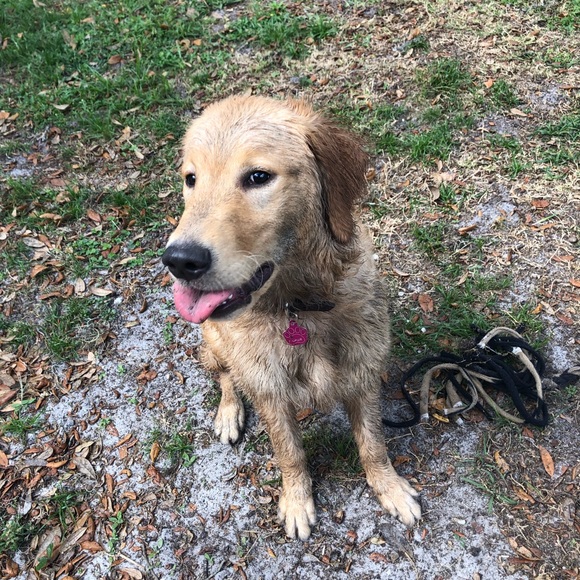 Meet your Posher, Heather - Picture 1 of 1